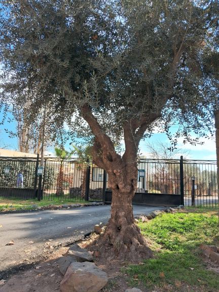 Lote en Venta en Guaymallen, Mendoza