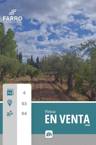 Finca en Venta en Maipu, Mendoza