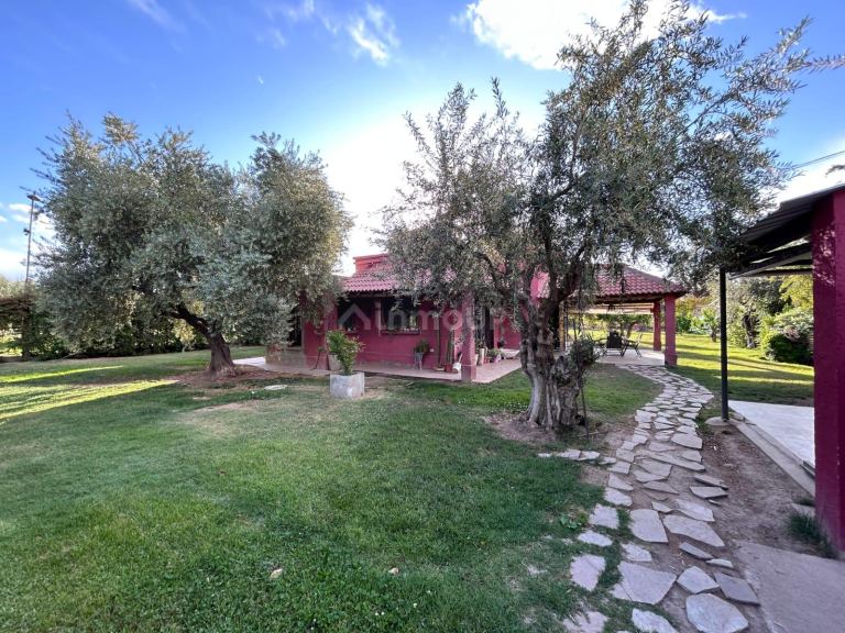 Finca en Venta en Maipu, Mendoza