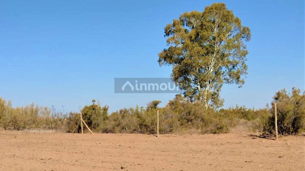 Lote en Venta en Lavalle, Mendoza