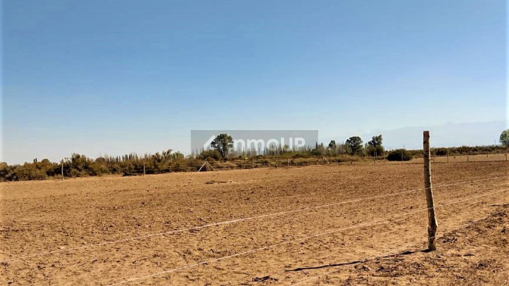 Lote en Venta en Lavalle, Mendoza