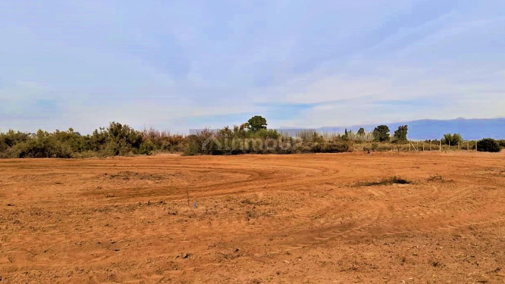 Lote en Venta en Lavalle, Mendoza