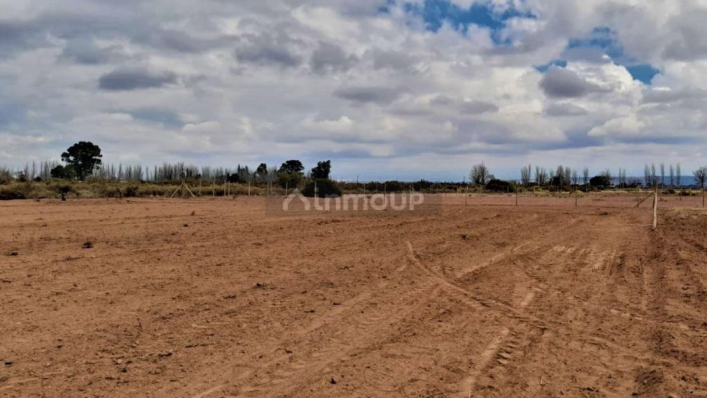 Lote en Venta en Lavalle, Mendoza