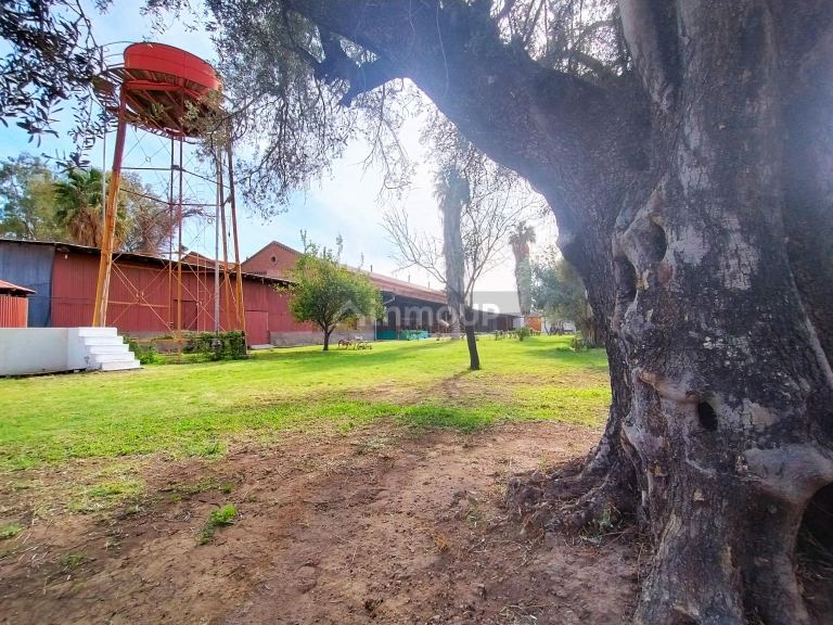 Bodega en Venta en Guaymallen, Mendoza