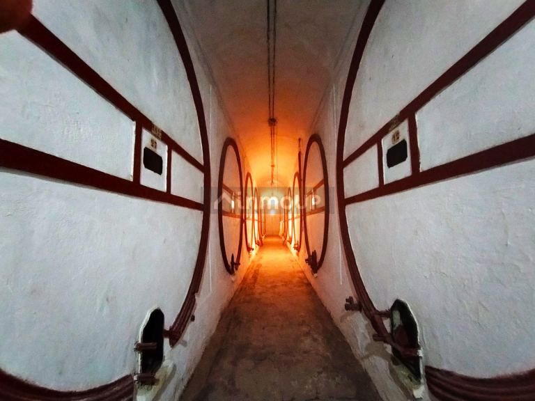 Bodega en Venta en Guaymallen, Mendoza