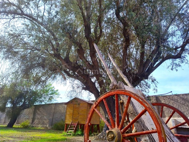 Bodega en Venta en Guaymallen, Mendoza