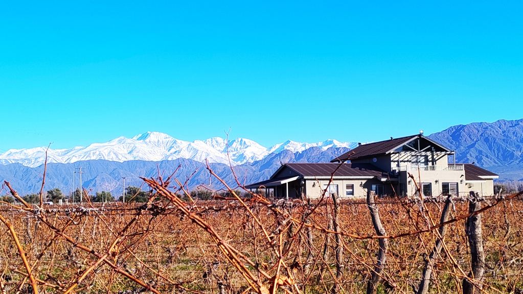 Lote en Venta en Lujan de Cuyo, Mendoza