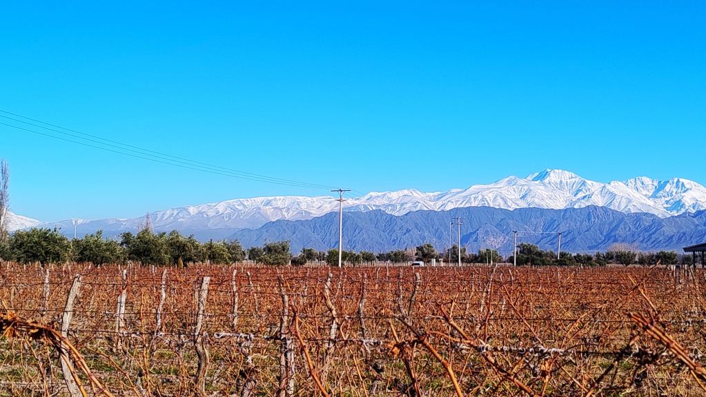 Lote en Venta en Lujan de Cuyo, Mendoza
