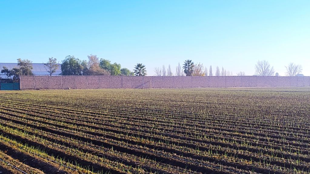 Finca en Venta en Guaymallen, Mendoza