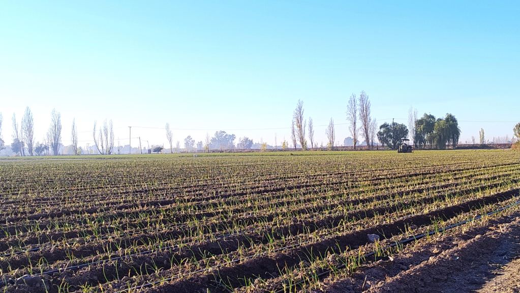 Finca en Venta en Guaymallen, Mendoza
