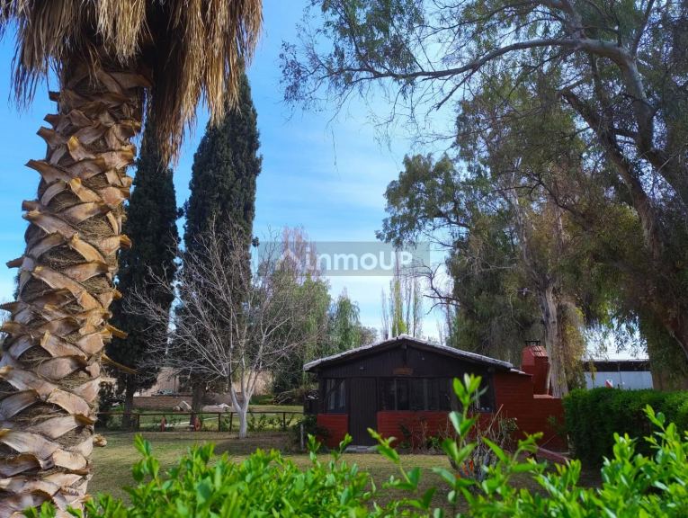 Galpon en Venta en Guaymallen, Mendoza