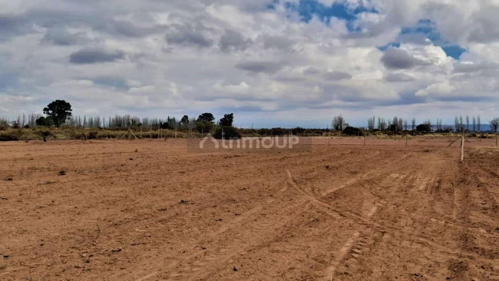 Terreno en Venta en Lavalle, Mendoza