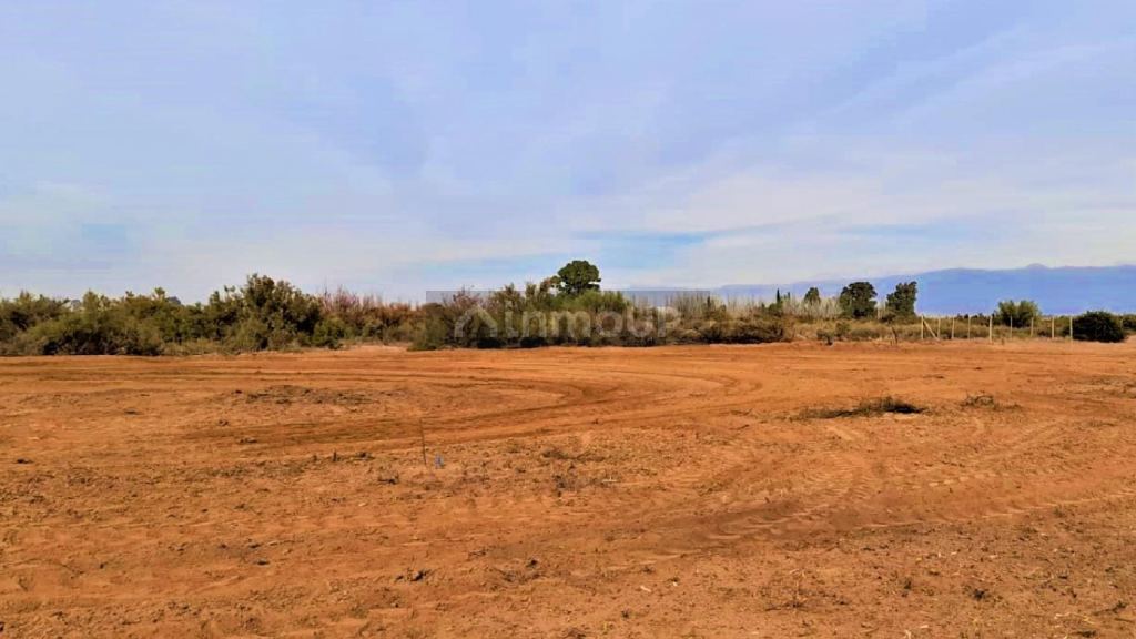 Terreno en Venta en Lavalle, Mendoza