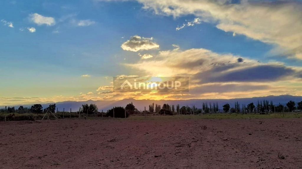 Terreno en Venta en Lavalle, Mendoza