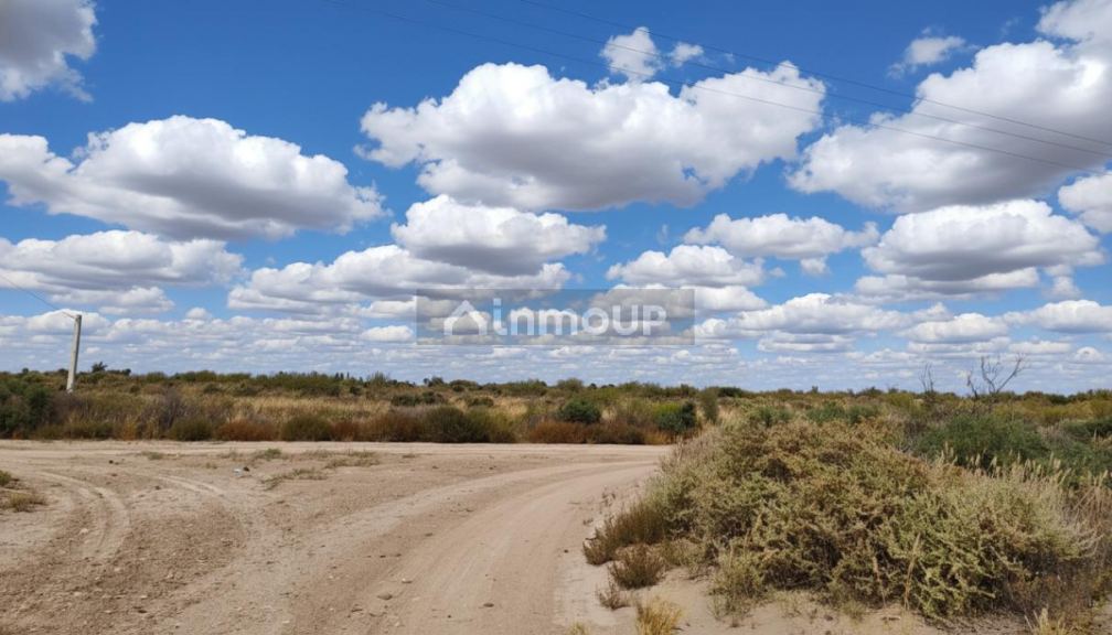Campo en Venta en San Martin, Mendoza