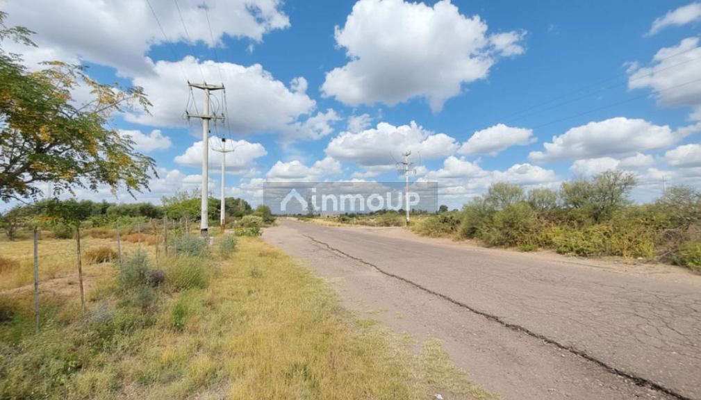 Campo en Venta en San Martin, Mendoza