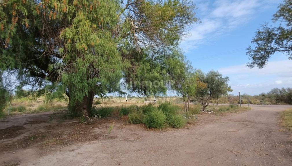 Campo en Venta en San Martin, Mendoza
