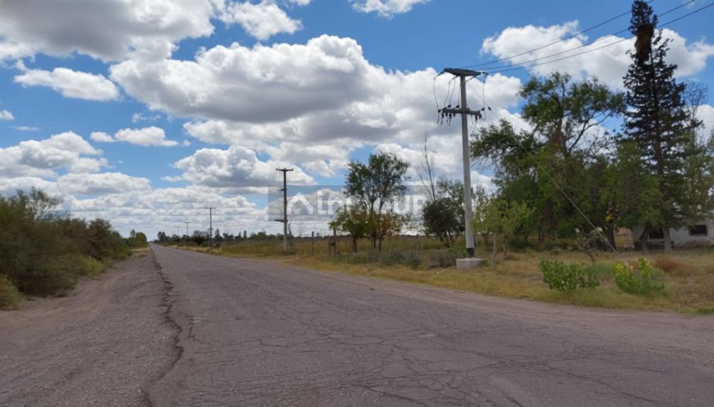 Campo en Venta en San Martin, Mendoza
