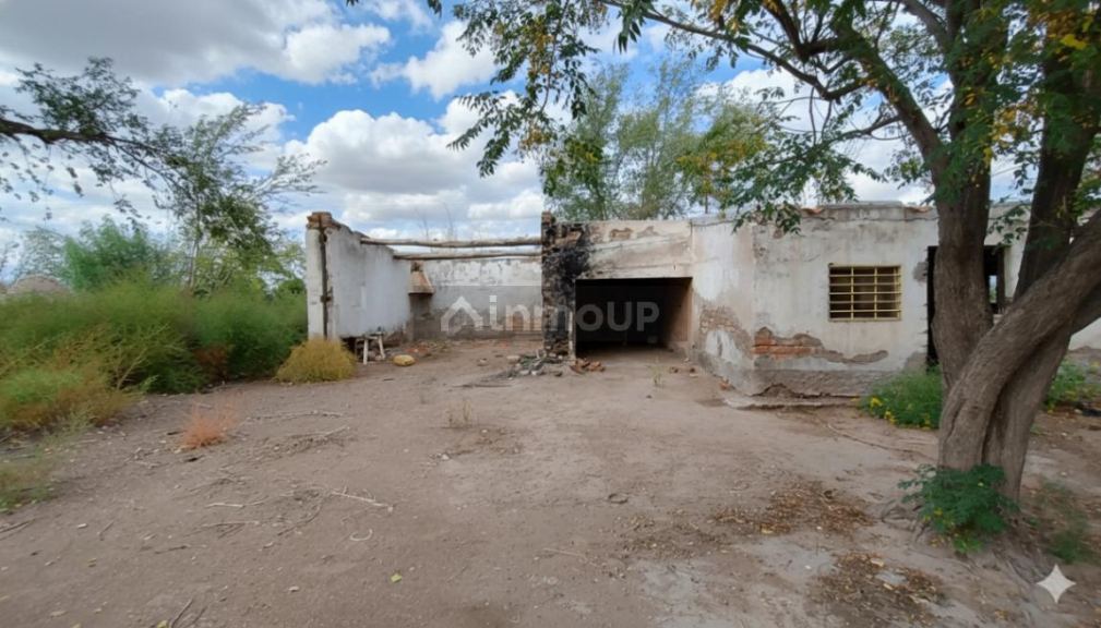 Campo en Venta en San Martin, Mendoza