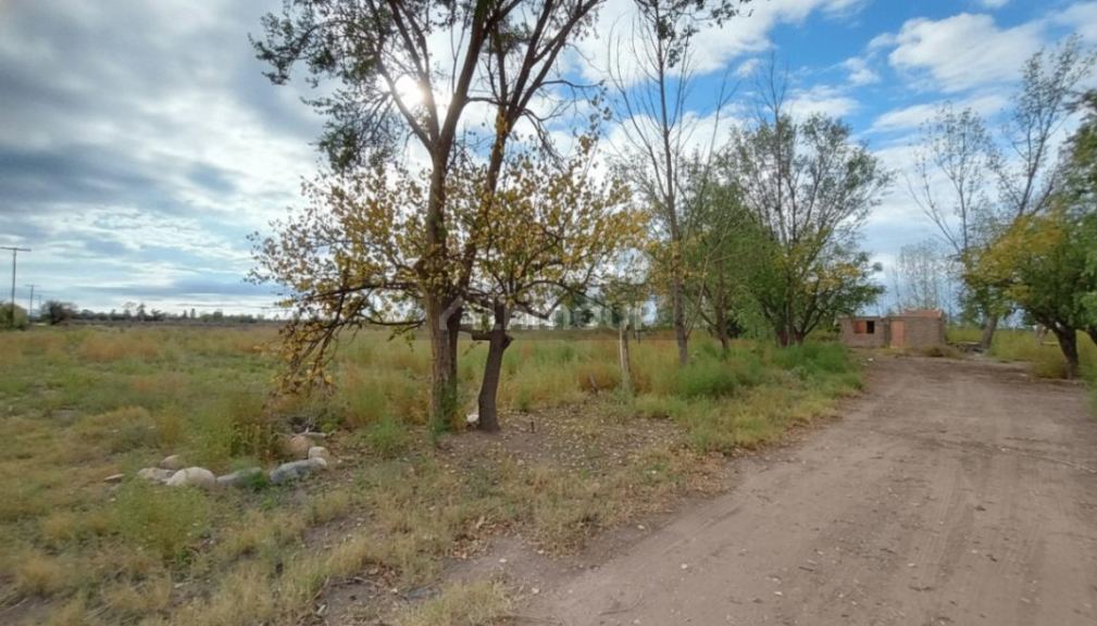 Campo en Venta en San Martin, Mendoza