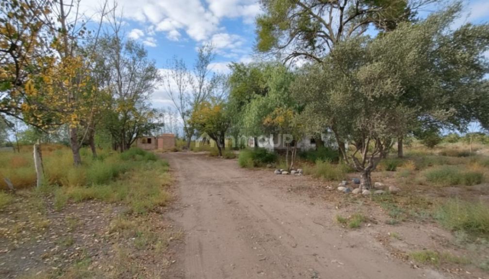 Campo en Venta en San Martin, Mendoza