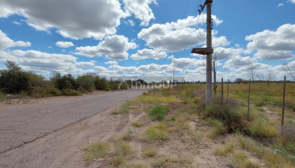 Campo en Venta en San Martin, Mendoza