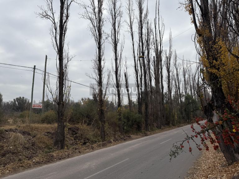 Lote en Alquiler en Lujan de Cuyo, Mendoza