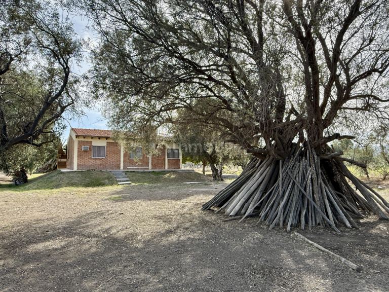 Finca en Venta en Caucete, San Juan