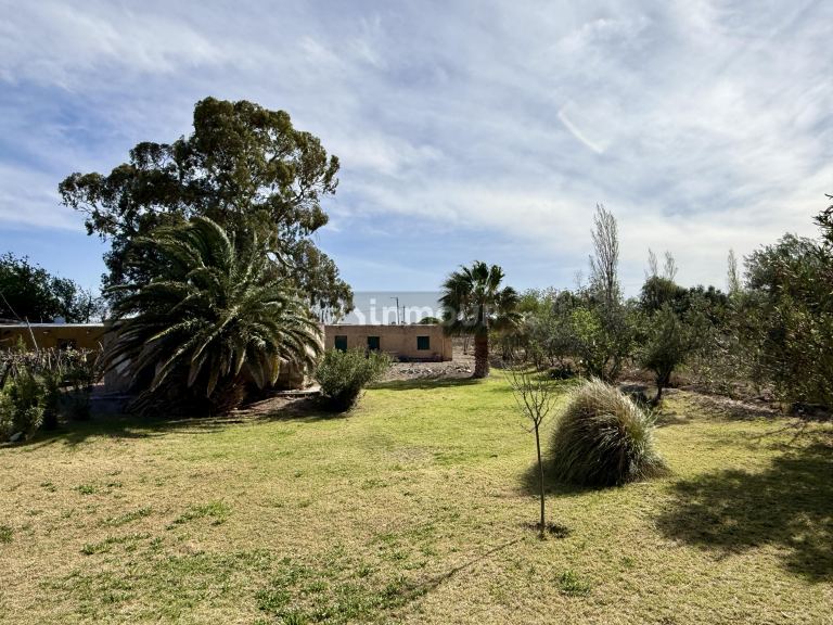 Finca en Venta en Caucete, San Juan