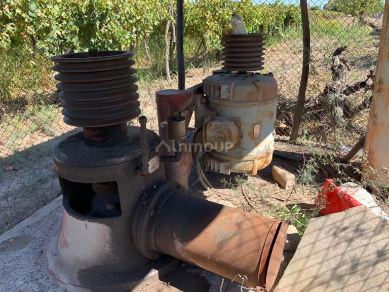 Finca en Venta en Caucete, San Juan