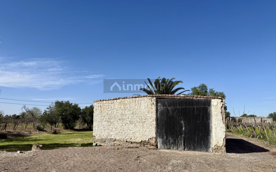 Finca en Venta en Caucete, San Juan