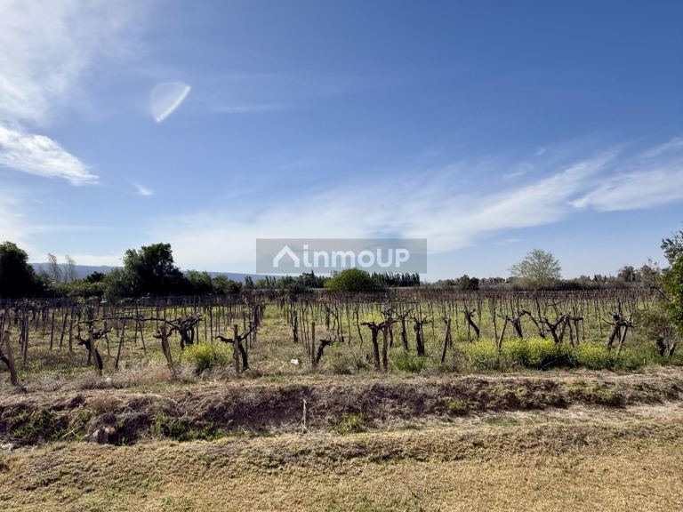 Finca en Venta en Caucete, San Juan