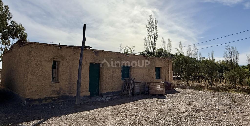 Finca en Venta en Caucete, San Juan