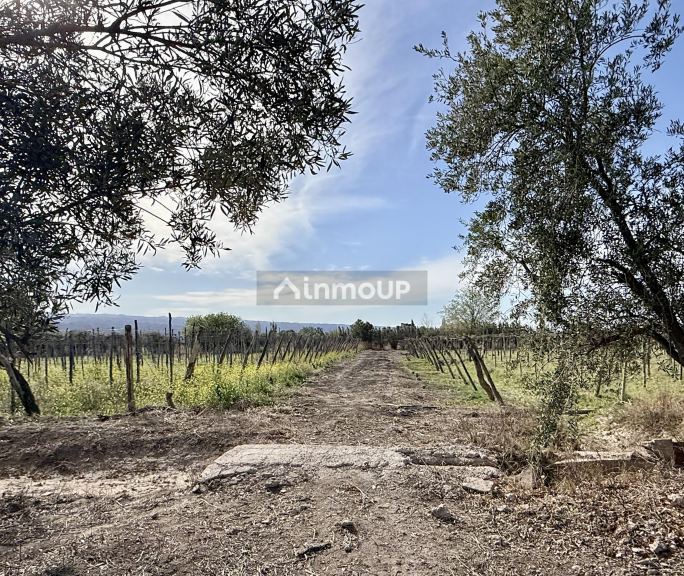Finca en Venta en Caucete, San Juan