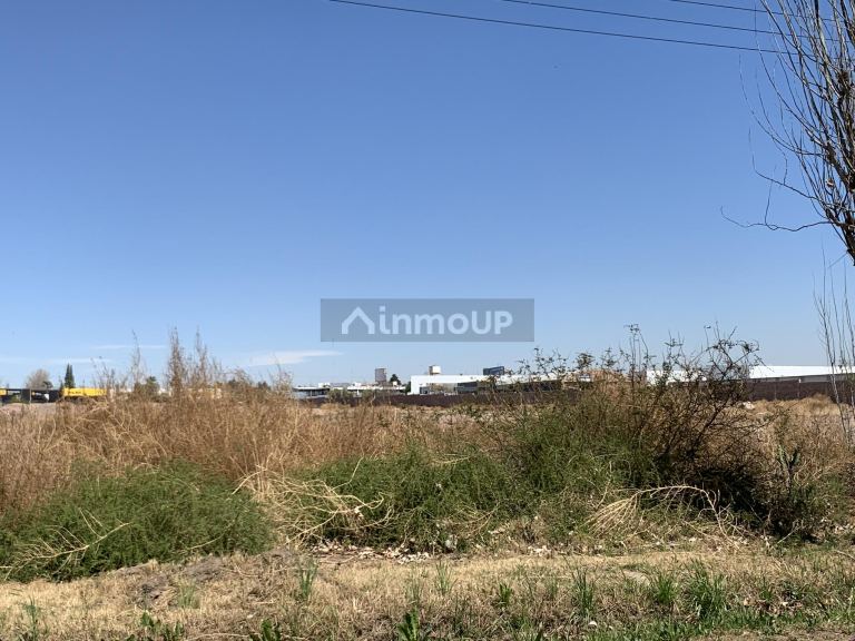 Lote en Alquiler en Godoy Cruz, Mendoza