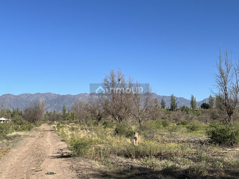 Finca en Venta en Lujan de Cuyo, Mendoza
