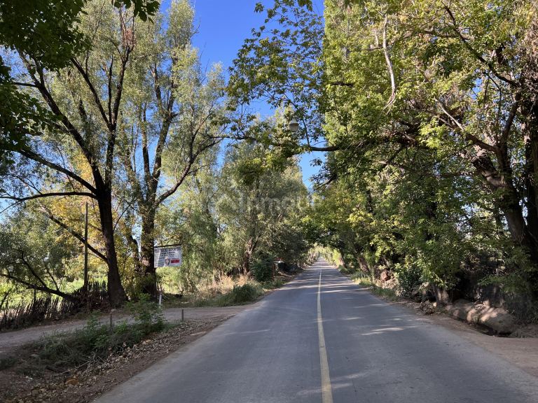 Finca en Venta en Lujan de Cuyo, Mendoza