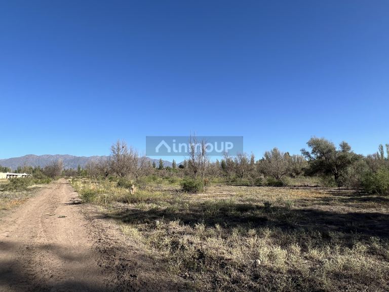 Finca en Venta en Lujan de Cuyo, Mendoza