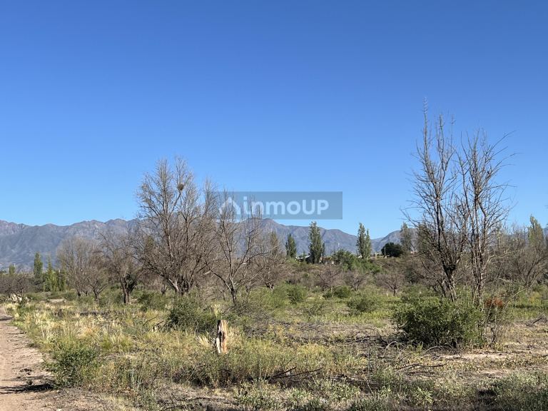 Finca en Venta en Lujan de Cuyo, Mendoza