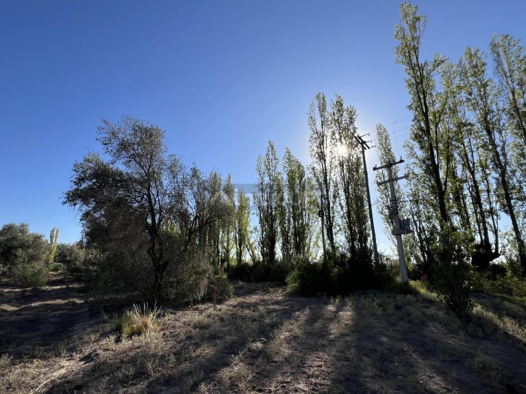 Finca en Venta en Lujan de Cuyo, Mendoza