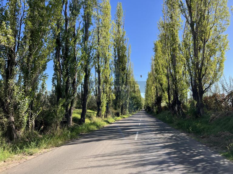 Finca en Venta en Lujan de Cuyo, Mendoza