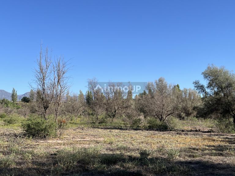 Finca en Venta en Lujan de Cuyo, Mendoza