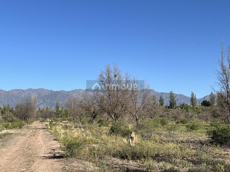 Finca en Venta en Lujan de Cuyo, Mendoza