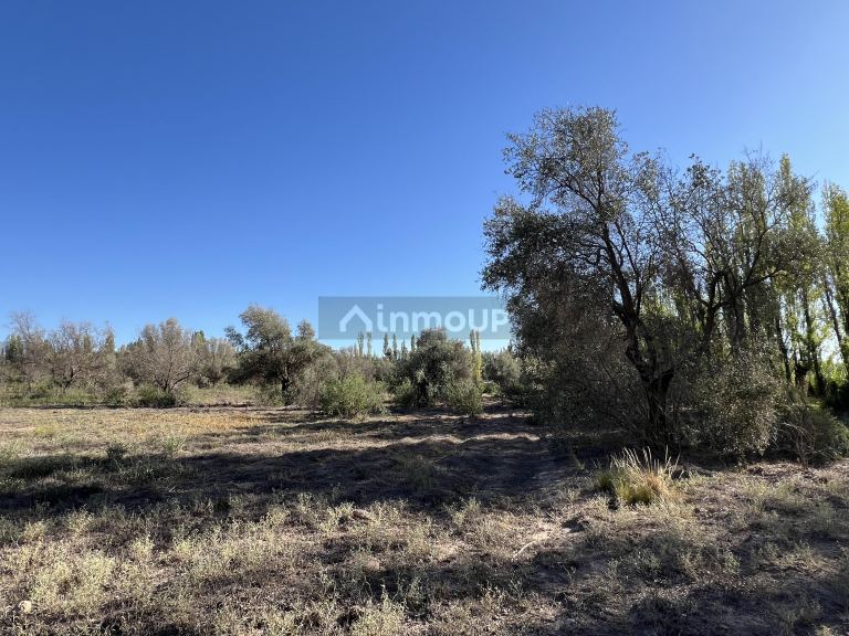 Finca en Venta en Lujan de Cuyo, Mendoza