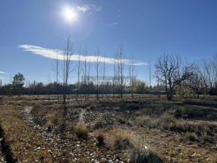 Lujan de Cuyo Roque Saenz Peña