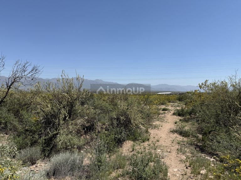 Lote en Venta en Lujan de Cuyo, Mendoza