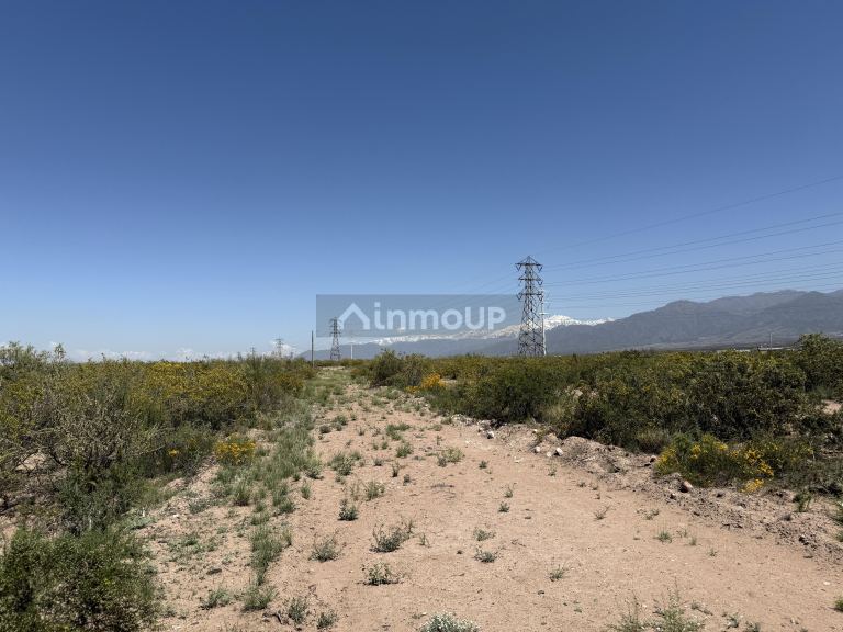 Lote en Venta en Lujan de Cuyo, Mendoza
