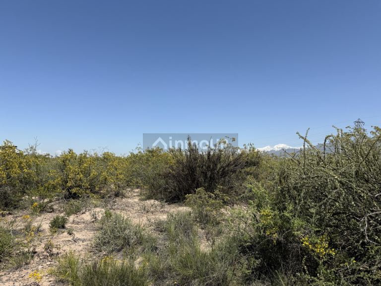 Lote en Venta en Lujan de Cuyo, Mendoza