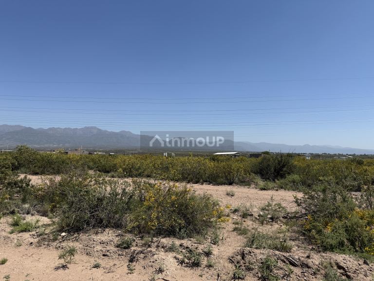 Lote en Venta en Lujan de Cuyo, Mendoza