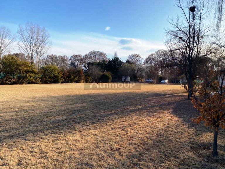 Lote en Venta en Lujan de Cuyo, Mendoza